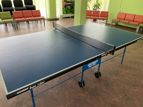 Cornilleau Sport 250 Indoor Blue