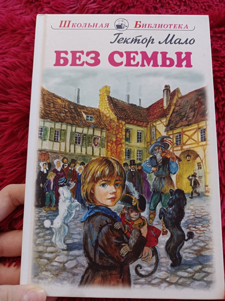 Без семьи книга