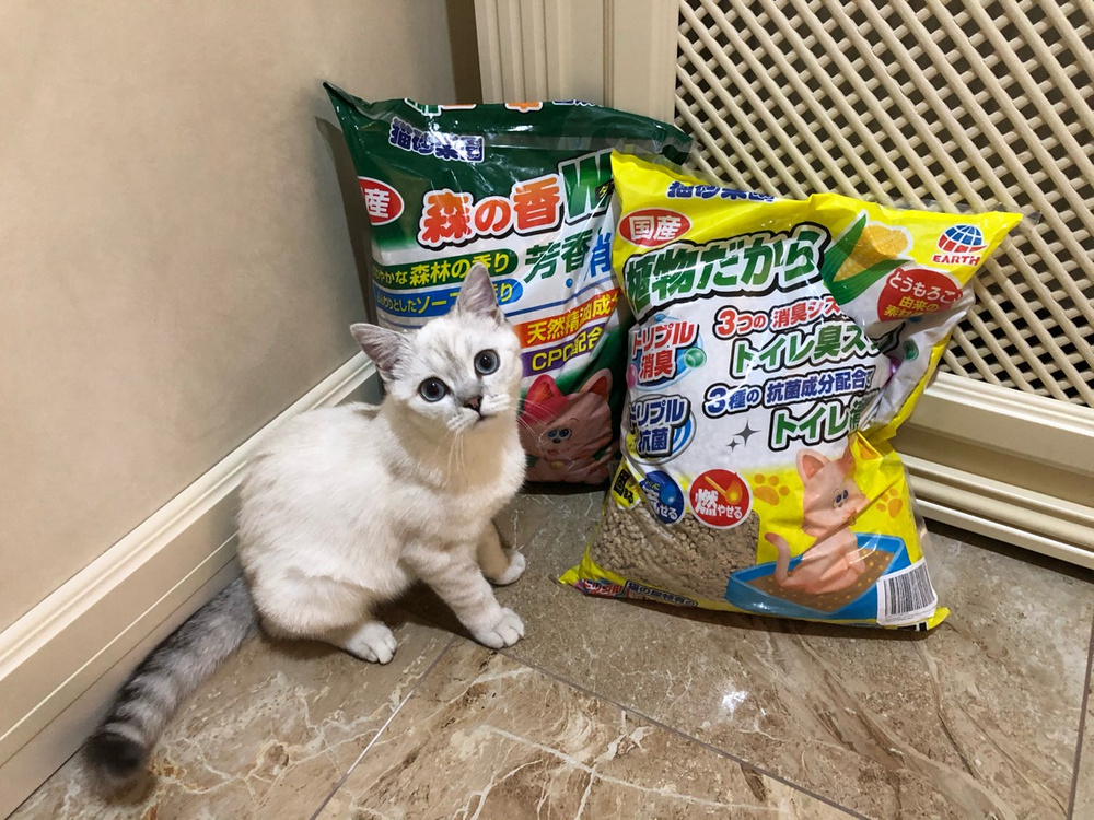 Наполнитель для кошачьего туалета japan premium pet комкующийся