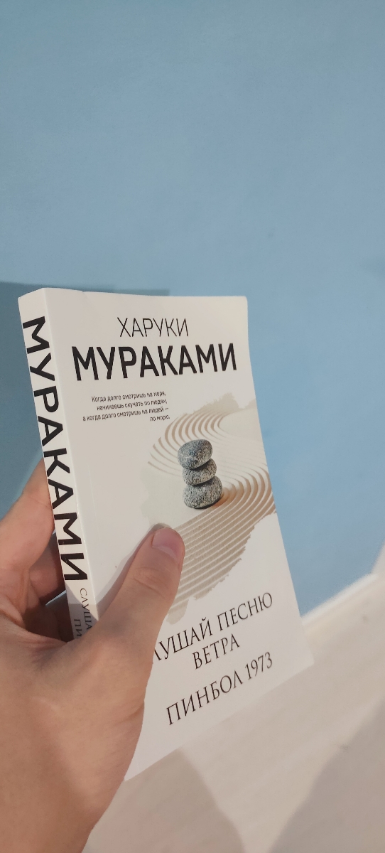 Книга пришла помятая с какими-то дефектами на обложке. Читать, конечно, можно, но осадочек остался