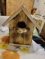 Скворечник для птиц, деревянный, кормушка для птиц #4, Анна Р.