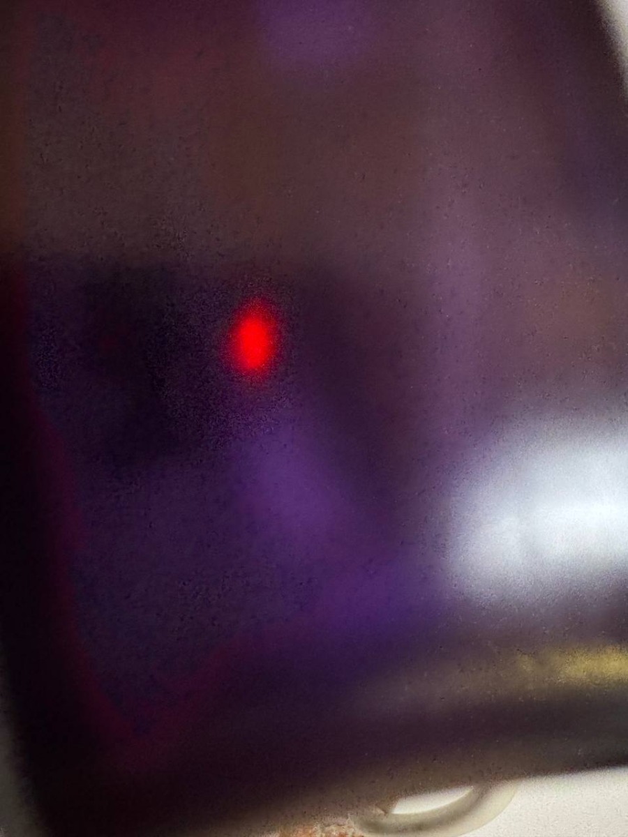 На устройство собака не обращает внимания! Все понравилось