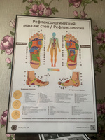 Плакат Рефлексологический массаж стоп.  Для кабинета педикюра и подолога  в формате А1 (84 х 60 см) #7, Николай З.
