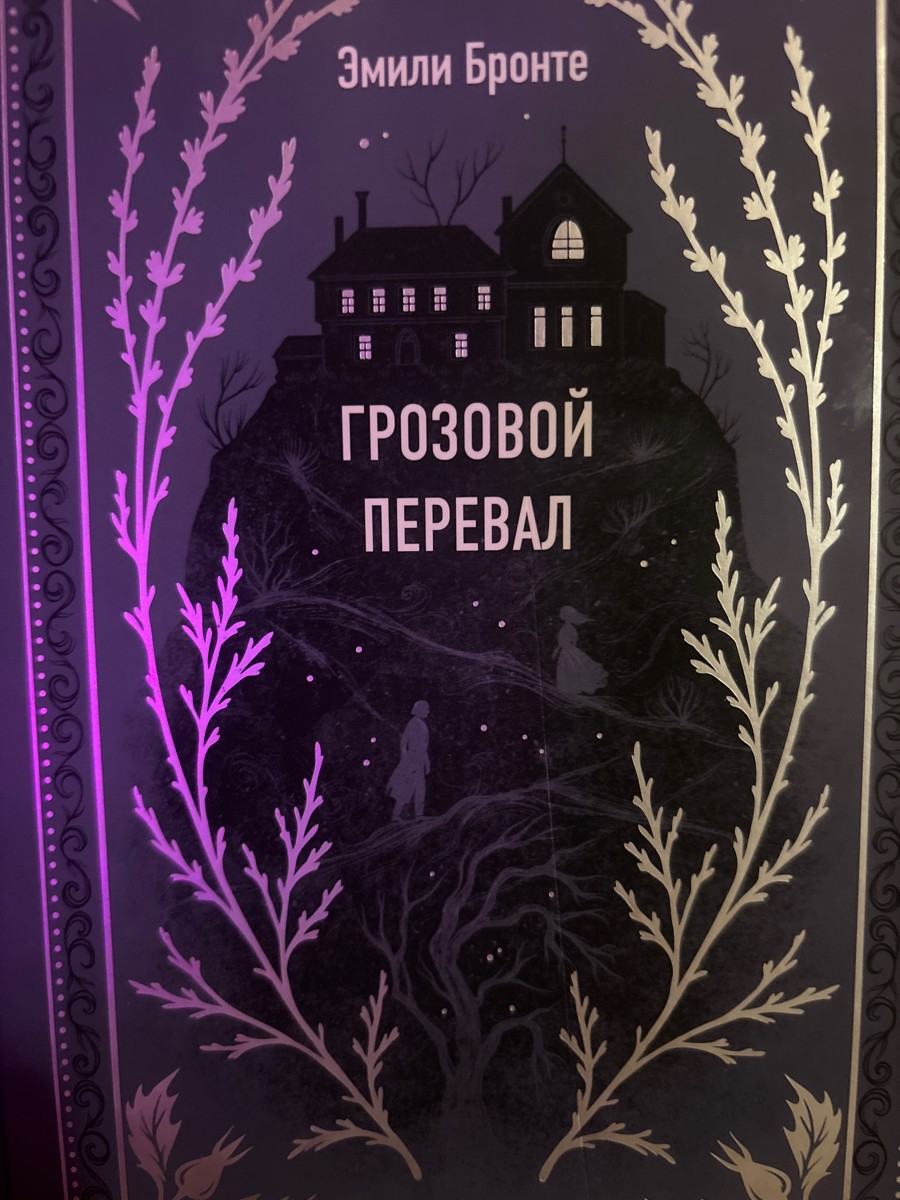 Знаю многим это произведение не заходит, но это отличное чтиво. Сначала может показаться скучноватой, однако к середине повествования сюжет начинает все больше захватывать. Детально продуманные герои и сложные взаимодействия их между друг другом. Отлично передана атмосфера мест, зданий и природы. 
В целом издание неплохое, но требует немного доработок.