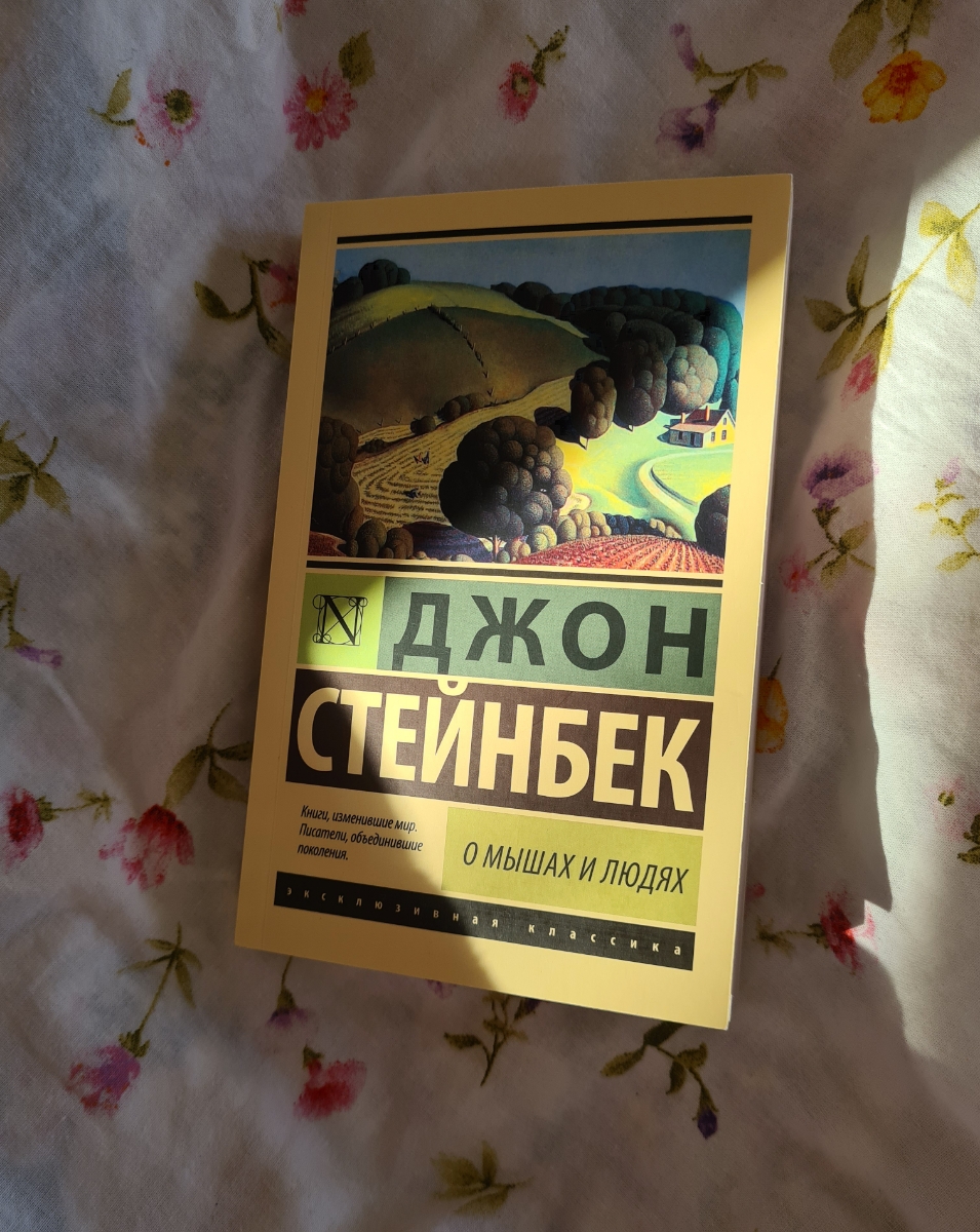 Книга пришла в пленке, целая, листы плотные и приятные, шрифт крупный. Стейнбека люблю, произведения этого автора ёмкие, богаты на диалоги.