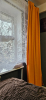 Комплект штор Блэкаут Канвас 400 х 220 для гостиной, для спальни, для детской, для кухни оранжевый #4, Дина З.