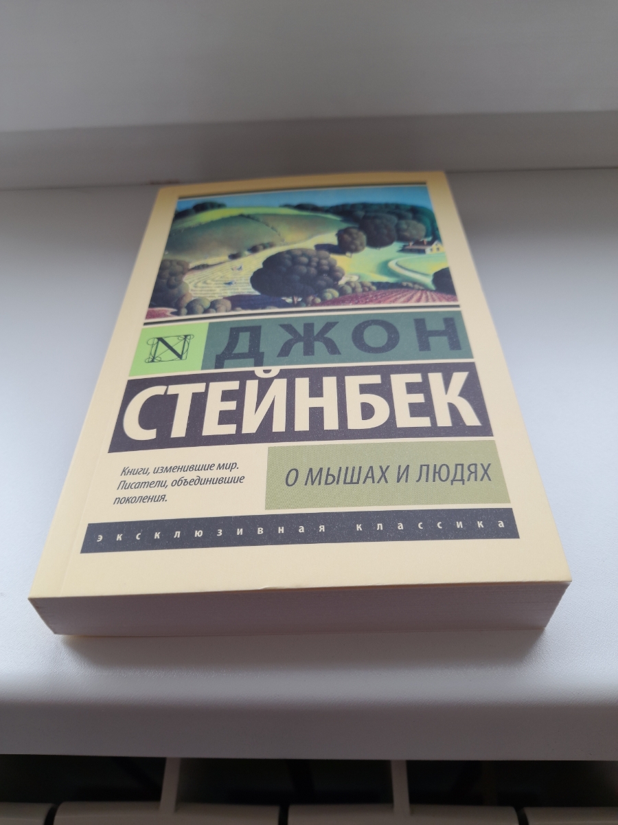 Книга дошла в идеальном состоянии, спасибо продавцу! Будем читать :)