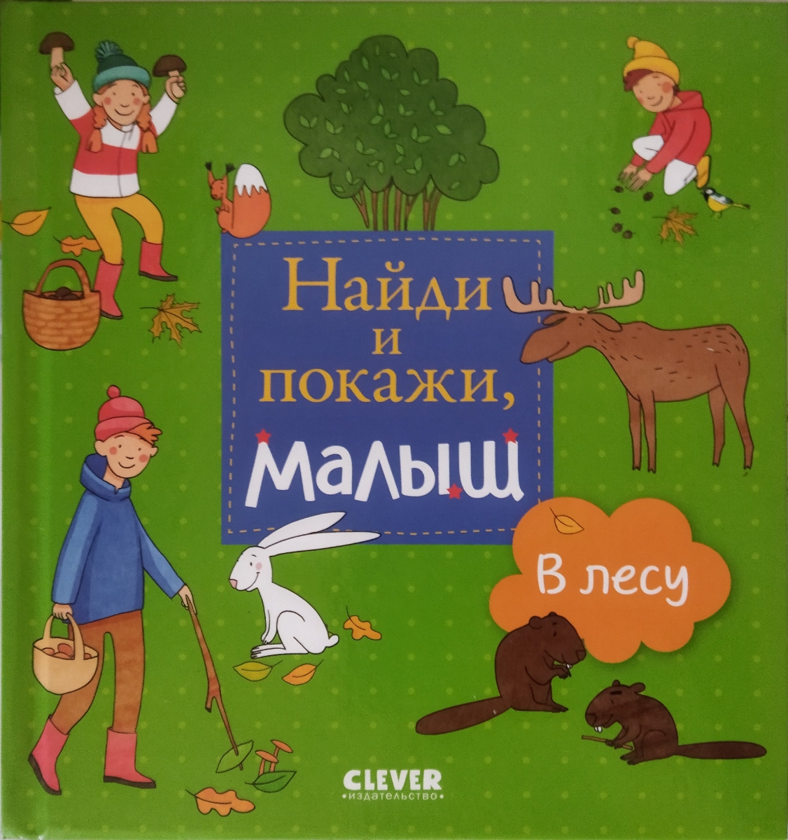 Художественное оформление оставляет желать лучшего, картинки однообразные. Ребенку 14 месяцев,из 4 купленных книг издательства Клевер именно эту упорно игнорирует.