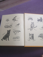Моя семья и другие звери. Сказки с иллюстрациями для детей | Даррелл Дж. #5, Ксения А.