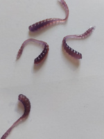 Силиконовые приманки CrazY T-Worm L 2.5 см (18шт) цвет: violet fire (tipsy для ловли мормышкой и микроджигом, мормышинг) #3, Дмитрий