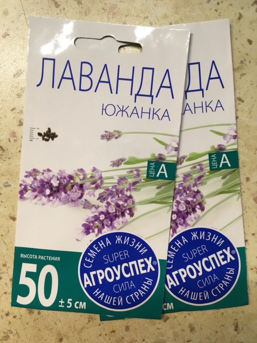 Лаванда Южанка Агроуспех