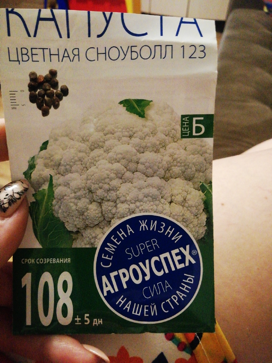 Капуста цветная сноуболл 123 отзывы. Капуста цветная Сноуболл 123. Капуста цветная Сноуболл.