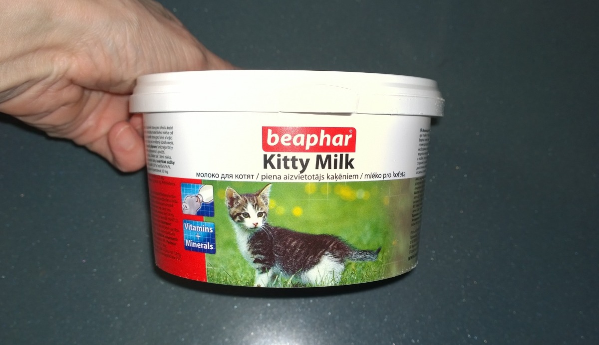 Lora kitten milk