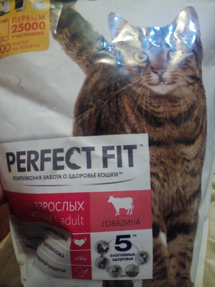 Котойога perfect Fit