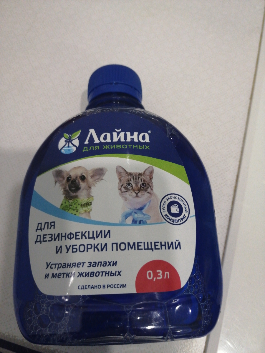 Лайна описание