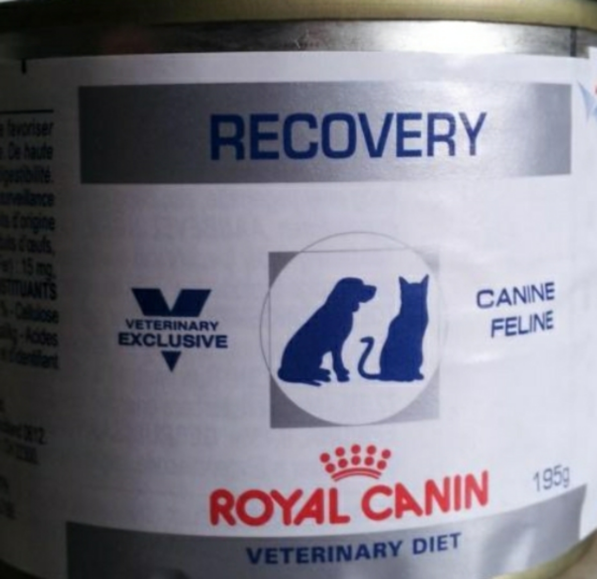 Рекавери для кошек купить. Recovery корм для кошек Royal Canin. Роял Канин для кошек рекавери консервы. Паштет корм для кошек рекавери Роял Канин. Royal Canin Recovery для кошек паштет.