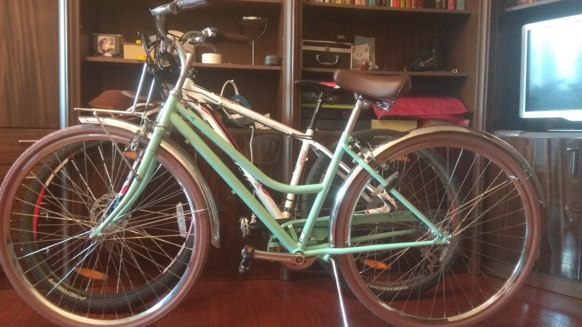 schwinn traveler women