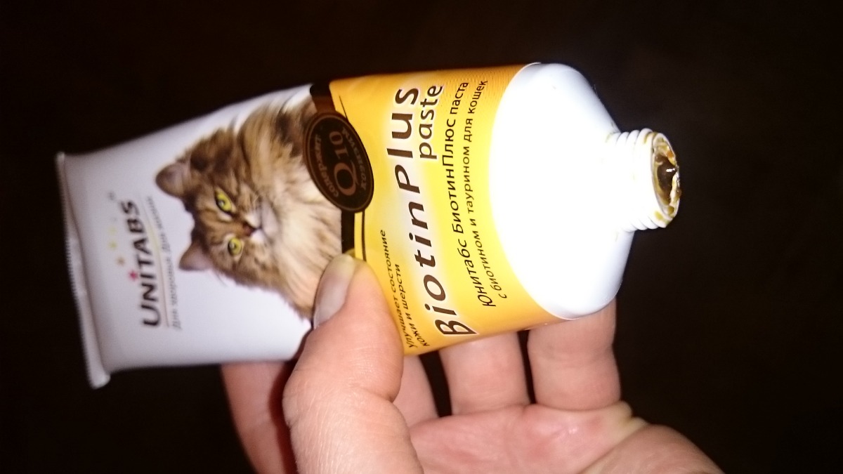 таблетки для иммунитета кошкам. кот иммунитета. вирусный иммунодефицит кошек симптомы. мальт паста для кошек unitabs. кот иммунитета.