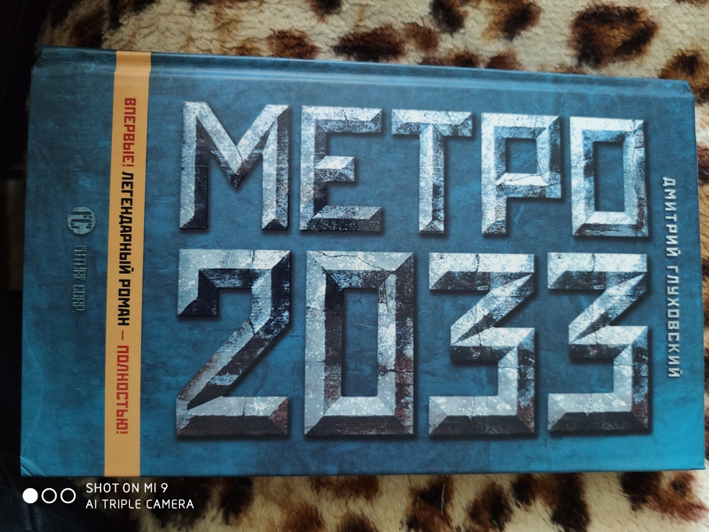 Metro 2033 отзывы. Книга метро с зимой на обложке.