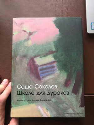 Книга школа для дураков