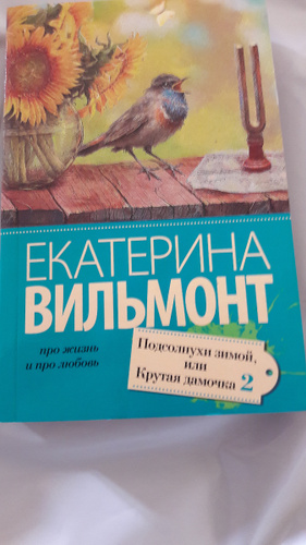 Подсолнухи зимой екатерина вильмонт книга. Подсолнухи зимой екатерина вильмонт. Читать крутая дамочка 2. Екатерина вильмонт крутая дамочка. Крутая дамочка, или нежнее, чем польская панна книга.